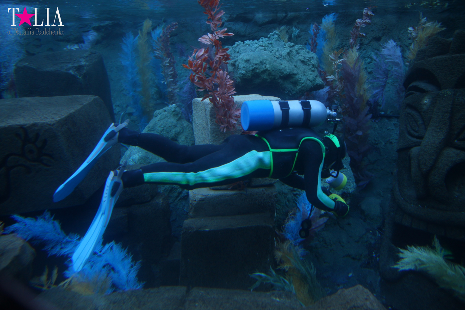 Диснейленд в Калифорнии (Анахайм, Лос Анжелес). Аттракционы